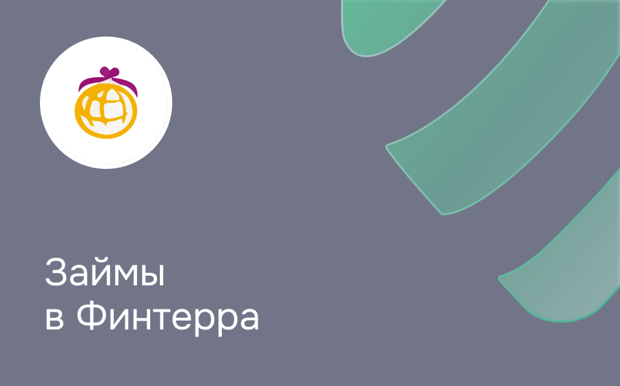 Обзор компании Финтерра